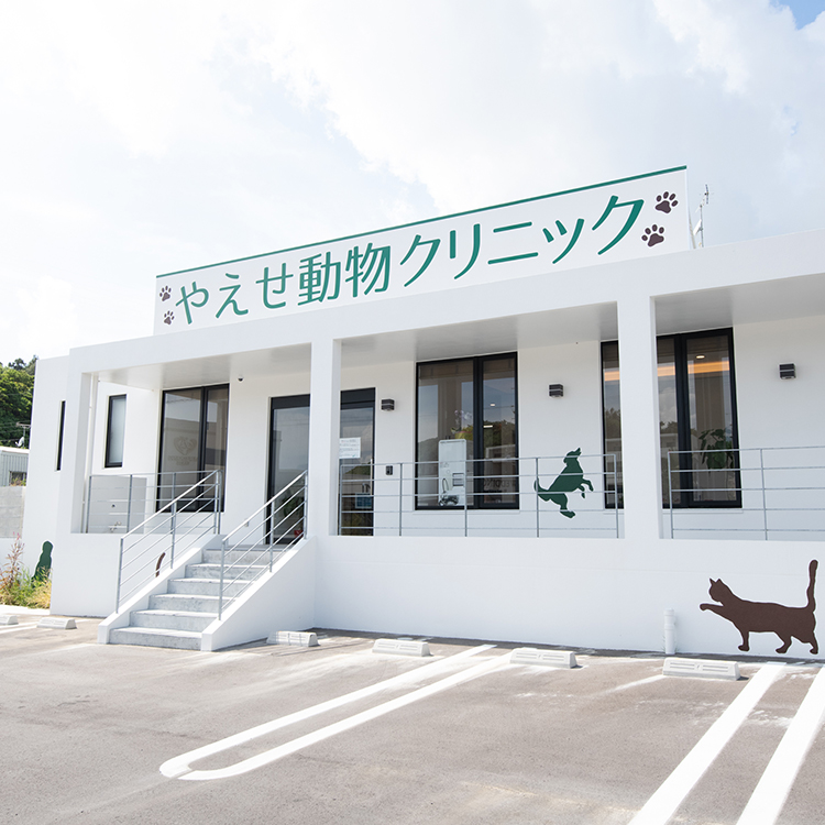 当クリニックについて